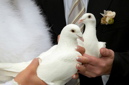 dove release for wedding in lauderdale
