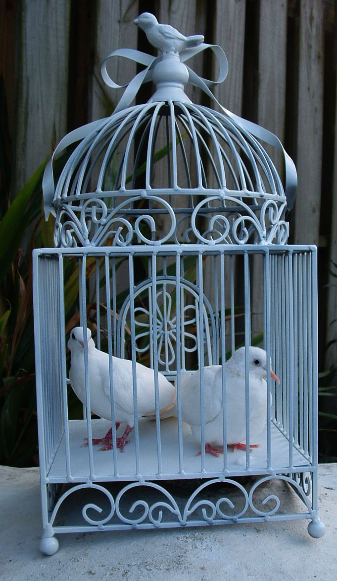 Dove Release Fort Lauderdale Dove Cage Display