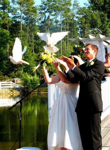 Wedding Dove Release