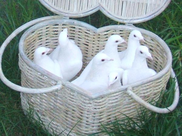 Doves in a Basket